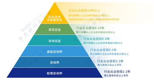 創(chuàng)新為王的時(shí)代 信息技術(shù)咨詢服務(wù)呼喚怎樣的新型咨詢師？